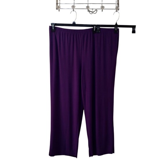 Antthony Originals: 2-Piece Pull-on Pant Set, Size 2X, Purple (NWT) - Picture 7 of 11